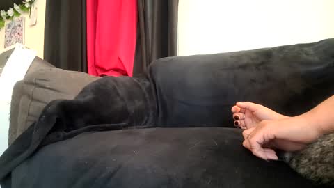 Snapshot of dickies6969 chatting on 09-20-25, 05:47 dickies6969 online show from 09-20-25, 05:47