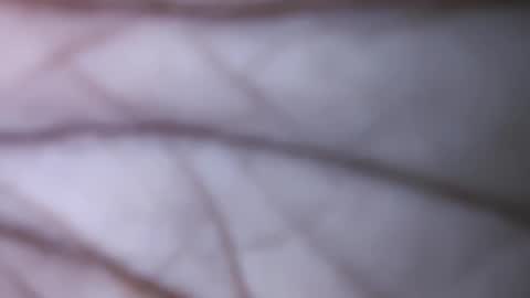 Snapshot of dicks_balls chatting on 12-01-24, 07:47 Dick balls online show from 12-01-24, 07:47