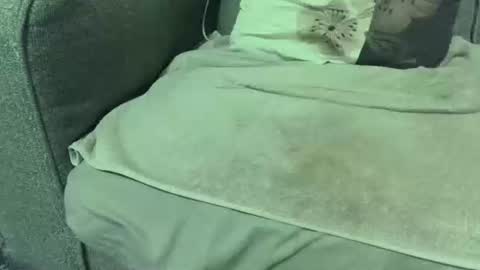 Snapshot of dickwack4u chatting on 01-10-26, 02:24 dickwack4u online show from 01-10-26, 02:24