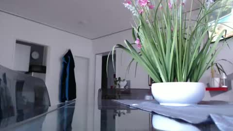 Snapshot of didiegal chatting on 12-07-24, 02:02 squirtcock online show from 12-07-24, 02:02