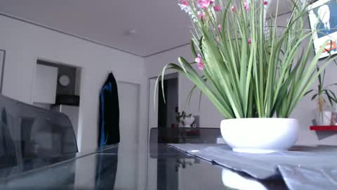 Snapshot of didiegal chatting on 12-09-24, 02:39 squirtcock online show from 12-09-24, 02:39