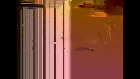 Snapshot of dildosnme22 chatting on 01-13-25, 11:08 dildosnme22 online show from 01-13-25, 11:08