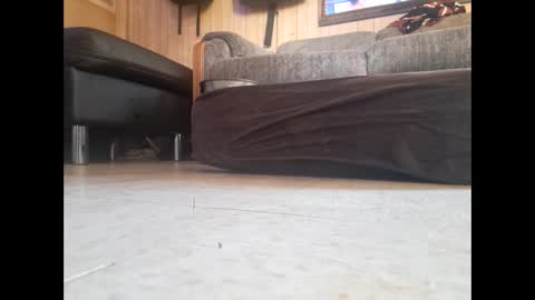 Snapshot of dildosnme22 chatting on 02-19-25, 07:48 dildosnme22 online show from 02-19-25, 07:48