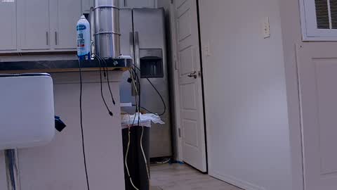 Snapshot of dilldough405 chatting on 01-29-25, 06:07 Dilldough405 online show from 01-29-25, 06:07