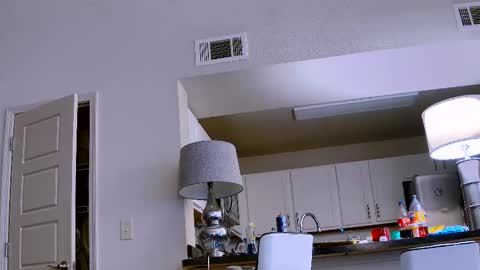 Snapshot of dilldough405 chatting on 02-11-25, 09:56 Dilldough405 online show from 02-11-25, 09:56