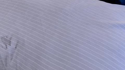 Snapshot of dilldough405 chatting on 02-24-25, 07:55 Dilldough405 online show from 02-24-25, 07:55