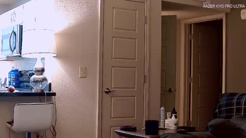 Snapshot of dilldough405 chatting on 09-21-25, 01:18 Dilldough405 online show from 09-21-25, 01:18