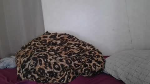 Snapshot of dimepiecexxx chatting on 01-22-25, 06:31 Sofie online show from 01-22-25, 06:31