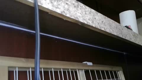 Snapshot of dimepiecexxx chatting on 02-28-25, 05:48 Sofie online show from 02-28-25, 05:48