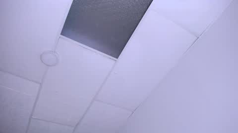 DINA online show from 12-24-24, 09:55