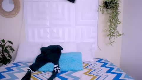 DINA online show from 04-23-26, 04:53