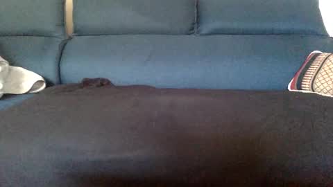 dinnerout1111 online show from 02-17-25, 08:52