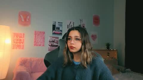 Snapshot of dinnerwithflowers chatting on 02-07-26, 01:15 Sara Connor online show from 02-07-26, 01:15