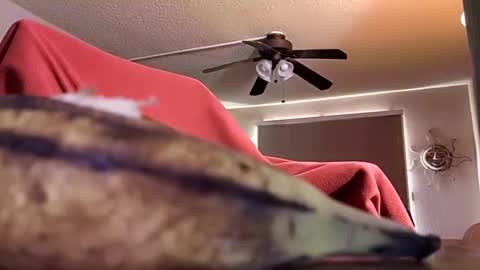 Snapshot of dipstik11 chatting on 10-09-25, 06:17 DIPSTIK online show from 10-09-25, 06:17