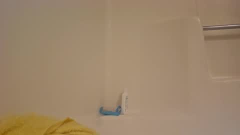 Snapshot of dipstik11 chatting on 10-13-25, 05:51 DIPSTIK online show from 10-13-25, 05:51