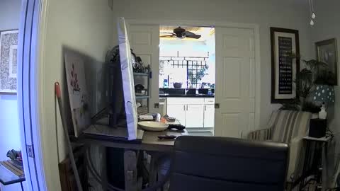 Snapshot of dirkpitt223 chatting on 01-03-25, 07:39 DirtkPitt Fun guy working online show from 01-03-25, 07:39