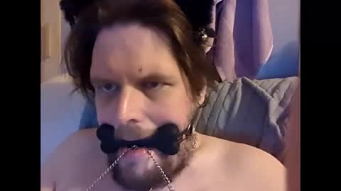 Snapshot of dirtydogsday chatting on 02-27-26, 11:27 Dirtydog online show from 02-27-26, 11:27