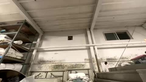 Snapshot of dishtv4all chatting on 10-27-25, 03:21 sexyguy online show from 10-27-25, 03:21