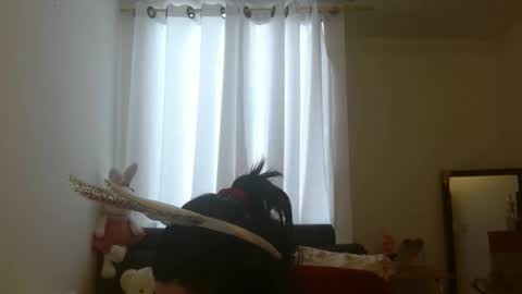 disneey2888 online show from 11-12-25, 08:19