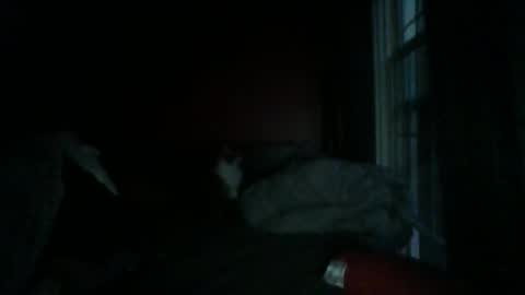 Chris Williams online show from 01-04-25, 12:27