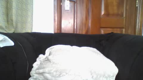 dixie_driver online show from 09-30-25, 09:09