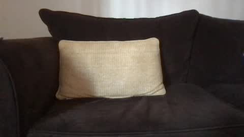 Snapshot of dizzydig chatting on 01-25-25, 05:08 Dizzydig online show from 01-25-25, 05:08