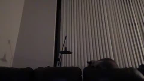 Snapshot of dj_chaterbate chatting on 01-14-26, 04:07 DJ Chaterbate online show from 01-14-26, 04:07