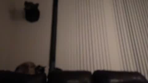 Snapshot of dj_chaterbate chatting on 02-04-26, 08:31 DJ Chaterbate online show from 02-04-26, 08:31