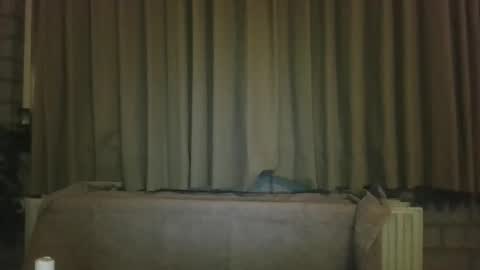 djensenhc online show from 01-11-26, 11:32