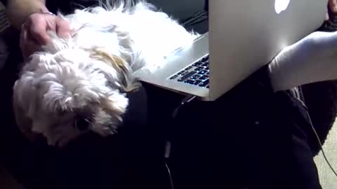 Snapshot of dkdad1966 chatting on 12-04-25, 03:43 DKdad online show from 12-04-25, 03:43