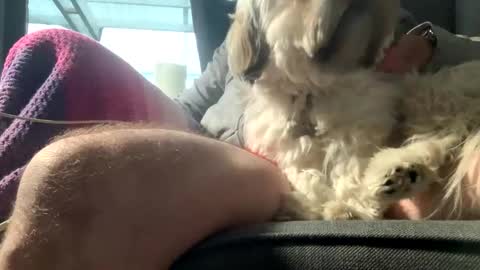 Snapshot of dkdad1966 chatting on 12-15-25, 09:13 DKdad online show from 12-15-25, 09:13