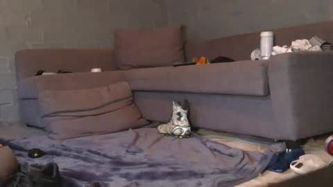 Snapshot of dljockbro chatting on 03-07-26, 05:21 dljockbro online show from 03-07-26, 05:21