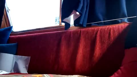 doghouseblue online show from 01-13-25, 03:58