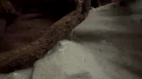 Snapshot of doingmek9 chatting on 02-20-25, 11:20 doingmek9 online show from 02-20-25, 11:20