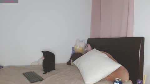 Snapshot of doll_and_sex chatting on 01-16-25, 03:02 Auro and Santiago online show from 01-16-25, 03:02