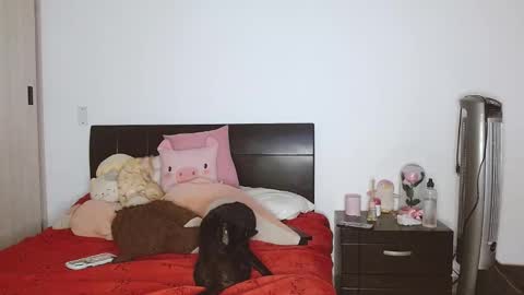 Snapshot of doll_and_sex chatting on 02-24-25, 03:55 Auro and Santiago online show from 02-24-25, 03:55