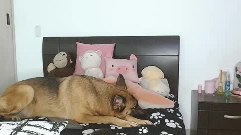 Snapshot of doll_and_sex chatting on 03-04-25, 02:49 Auro and Santiago online show from 03-04-25, 02:49