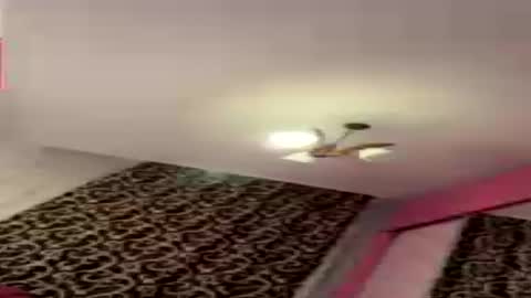 dollpetal online show from 07-21-26, 06:43
