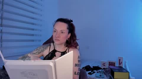 Snapshot of domina_deivis chatting on 02-19-25, 06:11 I WILL BE BACK ON WEDNESDAY DECEMBER 4 0100AM COLOMBIA TIME online show from 02-19-25, 06:11