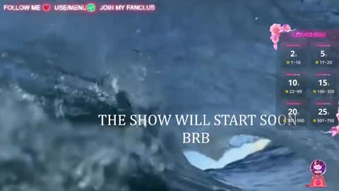 Snapshot of domina_deivis chatting on 03-06-25, 09:58 I WILL BE BACK ON WEDNESDAY DECEMBER 4 0100AM COLOMBIA TIME online show from 03-06-25, 09:58