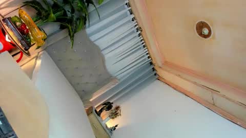 Snapshot of dominantgoddessontop chatting on 09-21-25, 06:31 CALL ME BABY BELLA online show from 09-21-25, 06:31