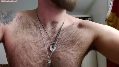 Logan - INDEPENDET MODEL online show from 04-23-26, 12:29