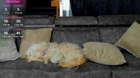 Snapshot of dominic_joness chatting on 02-20-25, 03:12 SANTI independent model online show from 02-20-25, 03:12