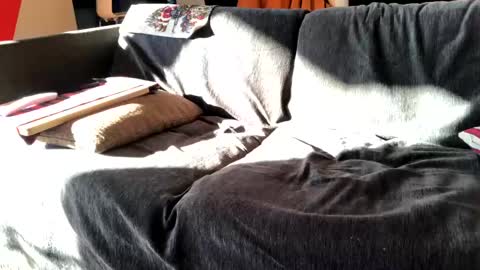 Snapshot of donizetti2017 chatting on 12-16-24, 11:44 Alfredo online show from 12-16-24, 11:44