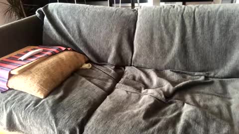 Snapshot of donizetti2017 chatting on 01-14-25, 11:10 Alfredo online show from 01-14-25, 11:10