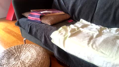 Snapshot of donizetti2017 chatting on 01-15-25, 09:02 Alfredo online show from 01-15-25, 09:02