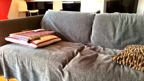 Snapshot of donizetti2017 chatting on 02-04-25, 10:21 Alfredo online show from 02-04-25, 10:21