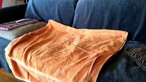 Snapshot of donizetti2017 chatting on 02-07-25, 08:55 Alfredo online show from 02-07-25, 08:55