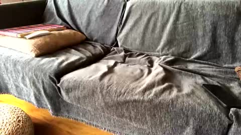 Snapshot of donizetti2017 chatting on 02-09-25, 09:47 Alfredo online show from 02-09-25, 09:47