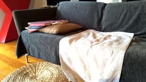 Snapshot of donizetti2017 chatting on 02-13-25, 11:28 Alfredo online show from 02-13-25, 11:28